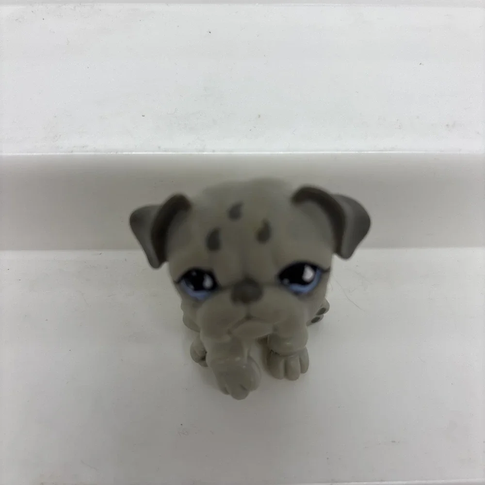 Hasbro lps littlest